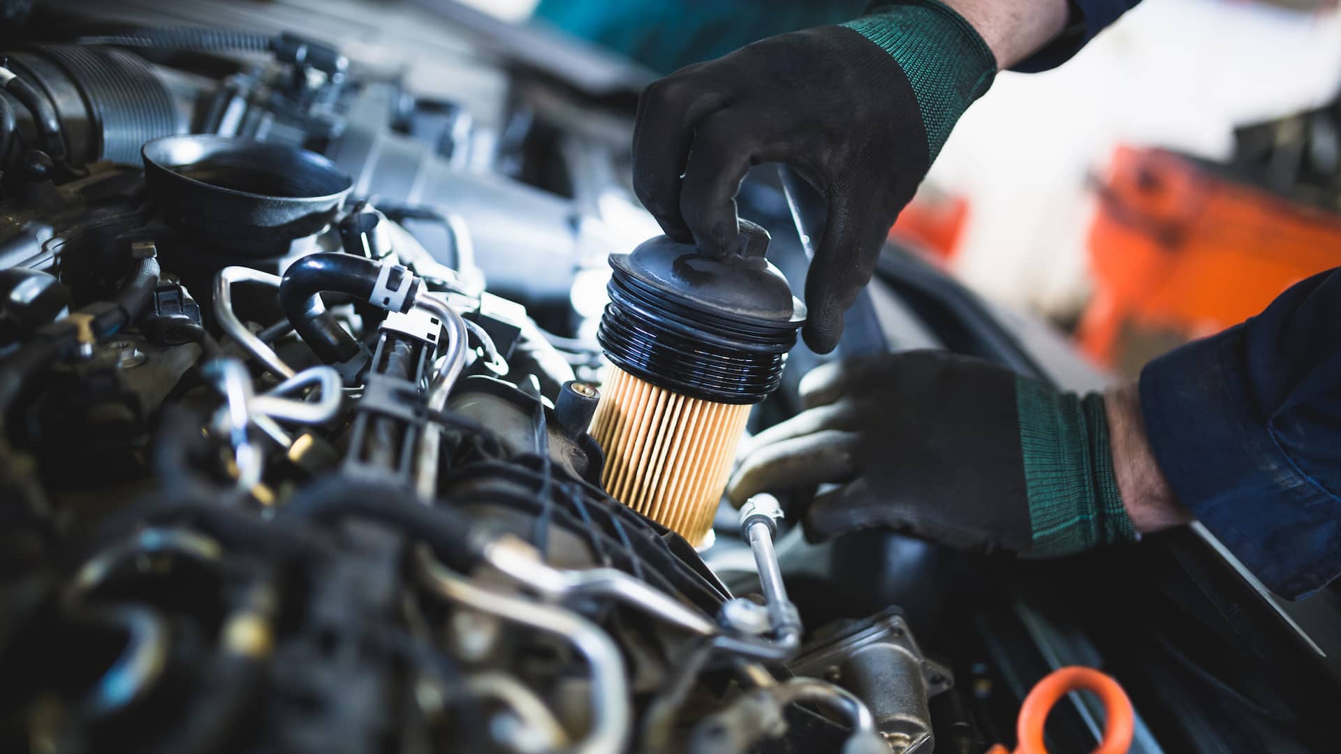 Full workshop with multiple vehicles being serviced simultaneously
